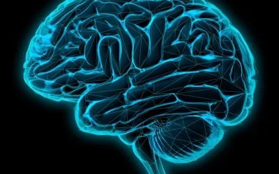 ¿Qué son las funciones ejecutivas de nuestro cerebro?